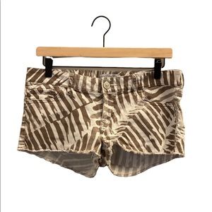 Express shorts